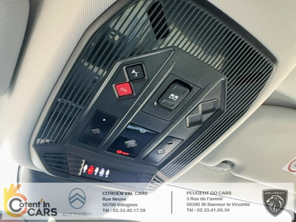 Ds DS 4 (2) E-TENSE 225 ESPRIT DE VOYAGE AUTO