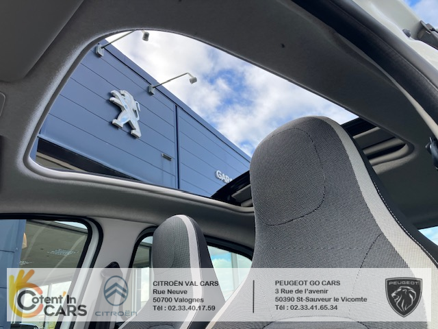 Renault Twingo (3) Hipanema Tce 90 EDC