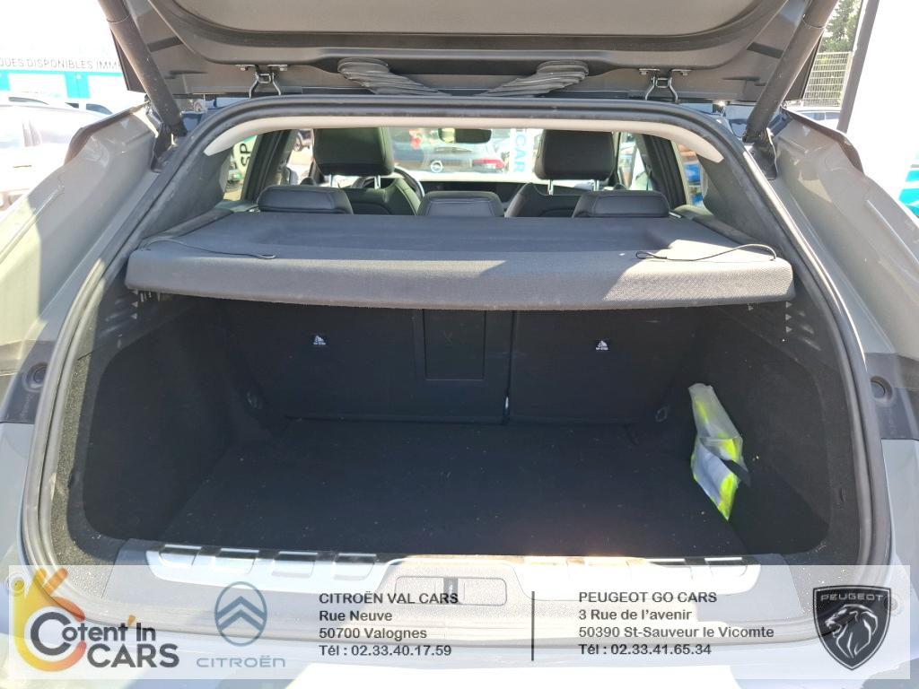 Ds DS 4 (2) PURETECH 180 PERFORMANCE LINE + AUTO